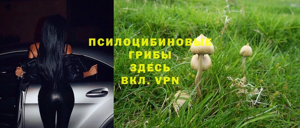 мдпв Балабаново