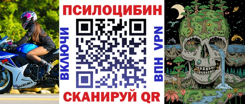как найти   Углегорск  Псилоцибиновые грибы прущие грибы 